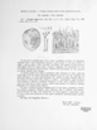 Fumago vagans image